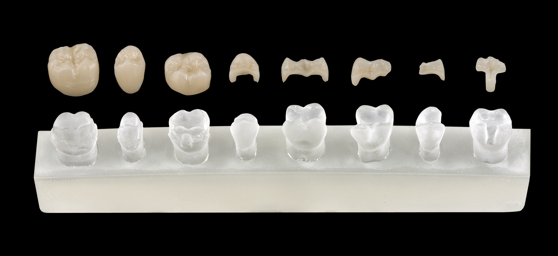 cerec dental assistant training